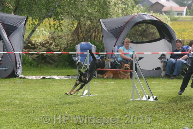 Haag2010 036.jpg